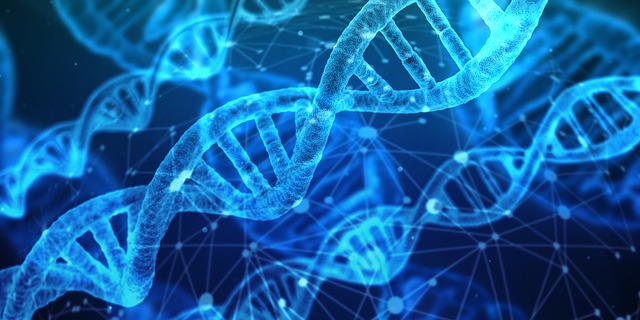 FUT2:Découvrez comment vos gènes influencent votre microbiote