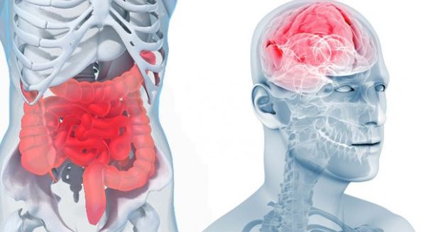 Microbiote inflammation et dépression